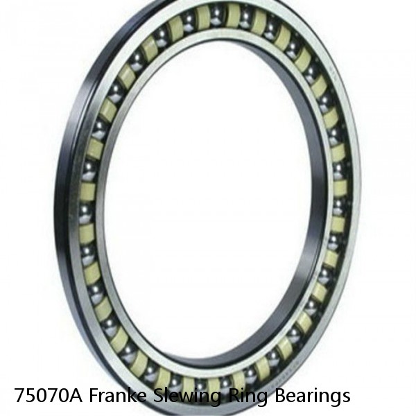 75070A Franke Slewing Ring Bearings