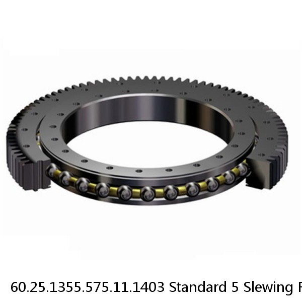 60.25.1355.575.11.1403 Standard 5 Slewing Ring Bearings