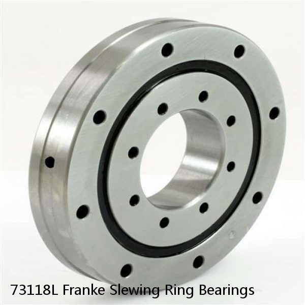 73118L Franke Slewing Ring Bearings