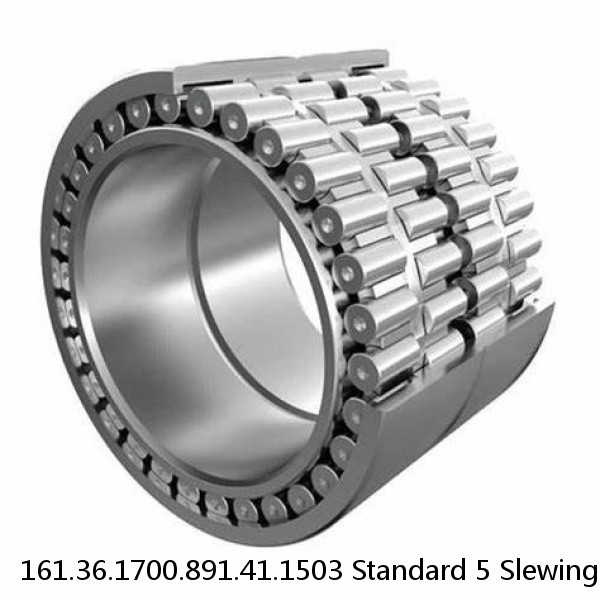 161.36.1700.891.41.1503 Standard 5 Slewing Ring Bearings #1 small image