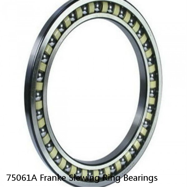 75061A Franke Slewing Ring Bearings #1 small image
