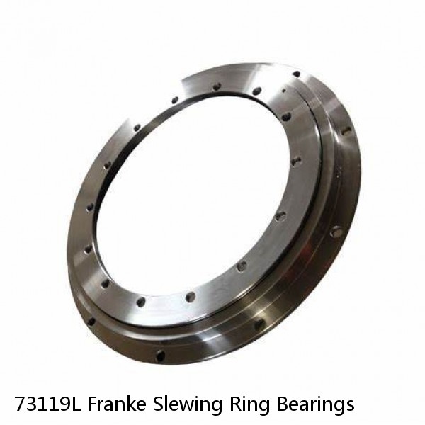 73119L Franke Slewing Ring Bearings #1 small image