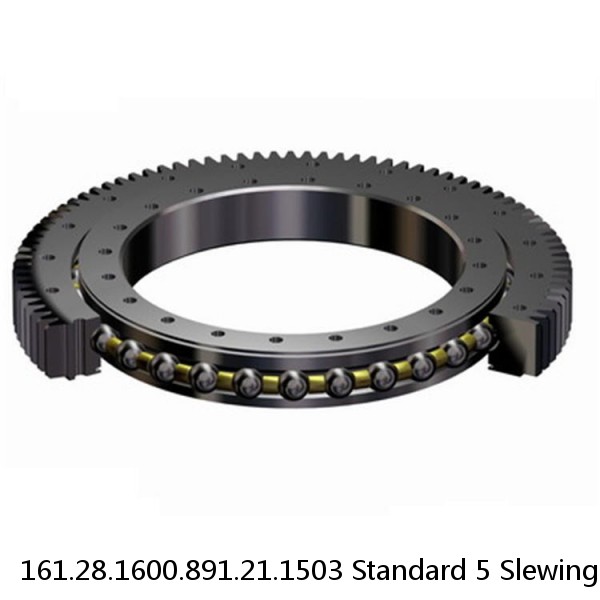 161.28.1600.891.21.1503 Standard 5 Slewing Ring Bearings #1 image