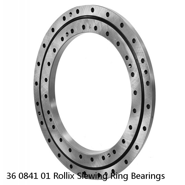 36 0841 01 Rollix Slewing Ring Bearings #1 image