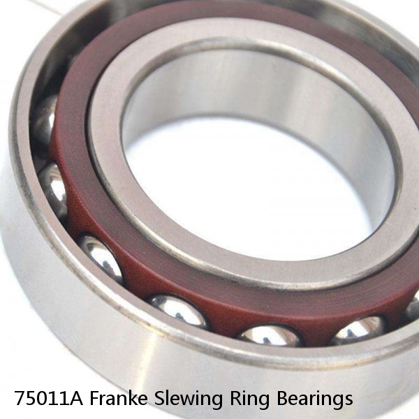 75011A Franke Slewing Ring Bearings #1 image