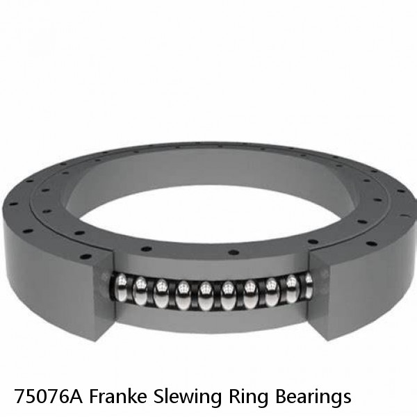 75076A Franke Slewing Ring Bearings #1 image