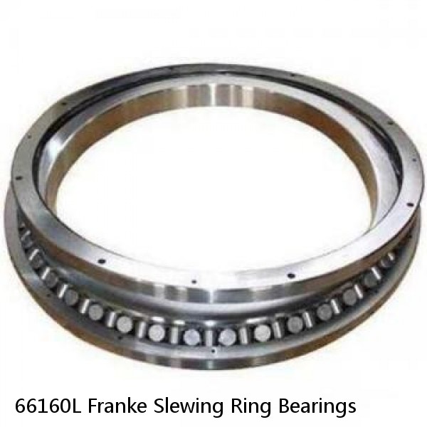 66160L Franke Slewing Ring Bearings #1 image